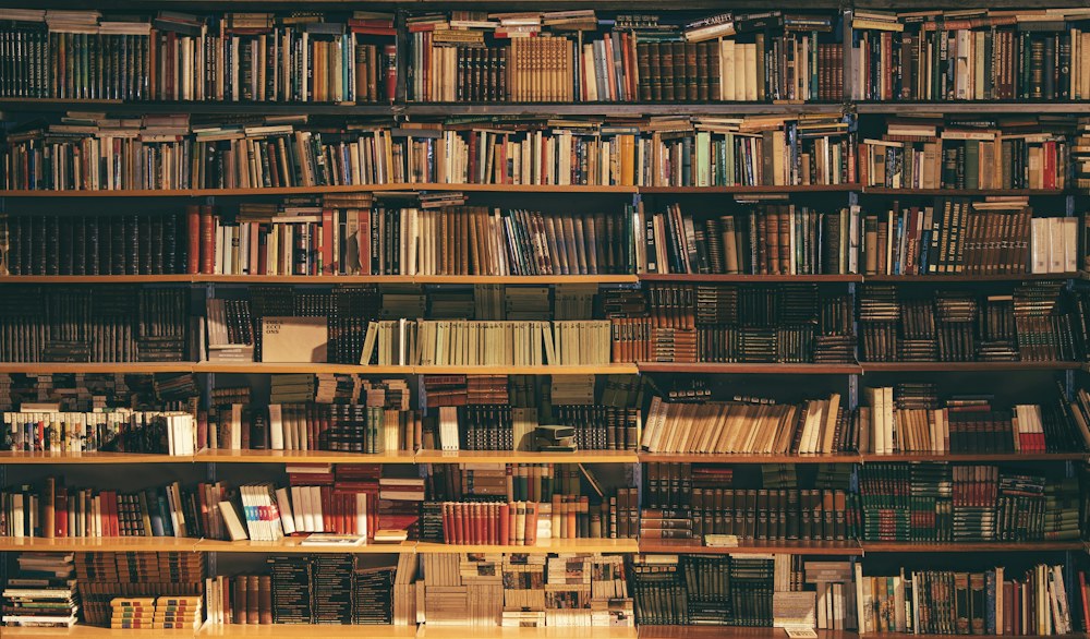 Wnętrze jasnej biblioteki